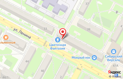 Цветочный салон Цветочная фантазия на улице Ленина на карте