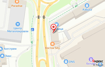 NetRa на карте