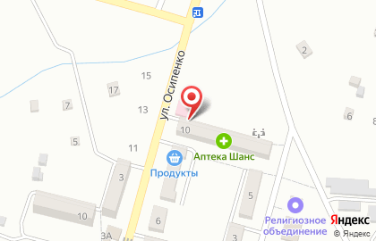 Медицинский центр Авиценна на улице Осипенко на карте