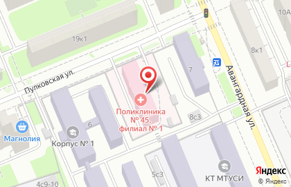 Городская поликлиника №45 на Пулковской улице на карте