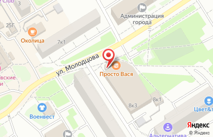 Фирменный магазин Великолукский мясокомбинат на улице Молодцова в Сертолово на карте
