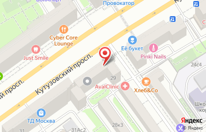 Удобный магазин Магнолия на Кутузовском проспекте на карте