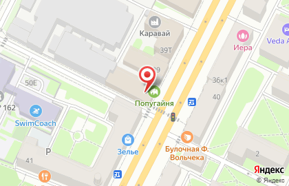 Ателье в Санкт-Петербурге на карте