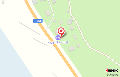 Гостиница Золотой Кедр на карте