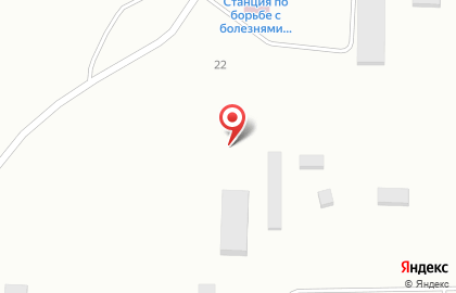 Строительная компания Kyly на карте