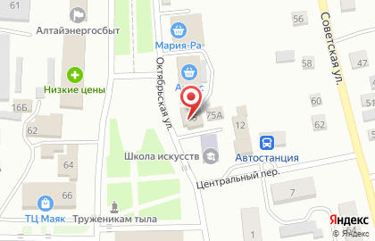 Магазин Садовник на улице Ленина на карте
