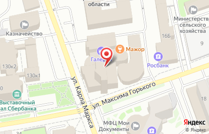 Клининговая компания Фея Чистоты на улице М.Горького на карте