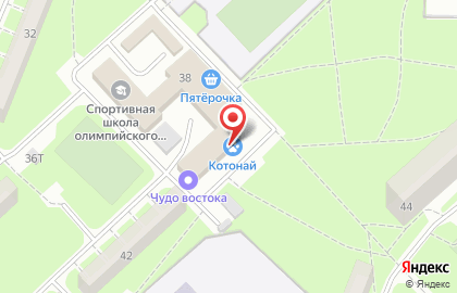 Ветеринарная клиника Котонай на улице Костюшко на карте