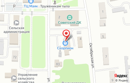 Продуктовый магазин Скорпион на улице Ленина на карте