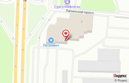 Строительный торговый дом Петрович на Лапинском проспекте на карте