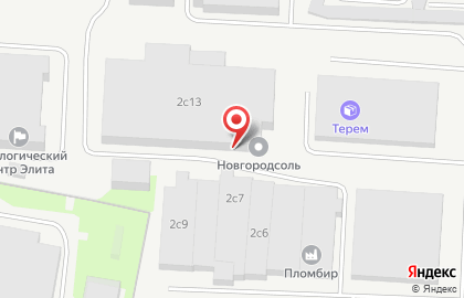 ООО Новгородсоль на карте