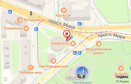 Магазин по продаже горшечных цветов Гелиантус в Центральном районе на карте