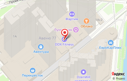 Allocacoc на карте