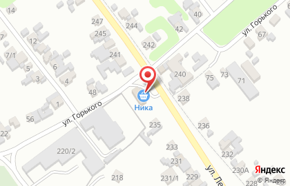 Продовольственный магазин Ника на улице Ленина на карте