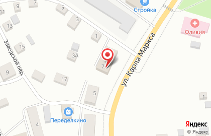 DNS в Пскове на карте