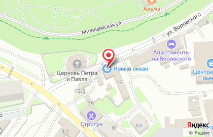 Новый Океан на карте