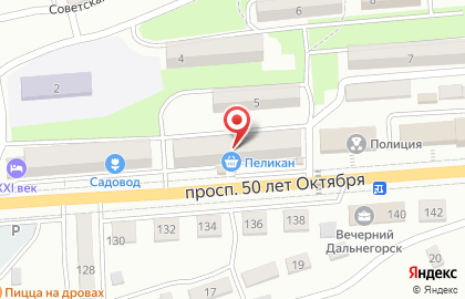 Магазин Пеликан во Владивостоке на карте