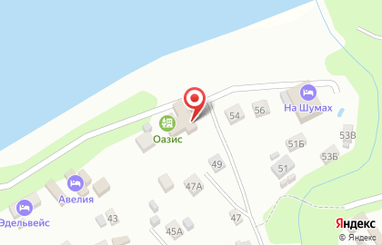 Оазис на карте