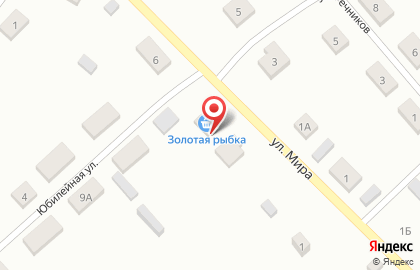 Золотая рыбка на улице Мира на карте