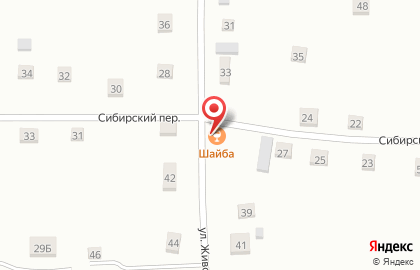 Пивной бар Шайба на карте