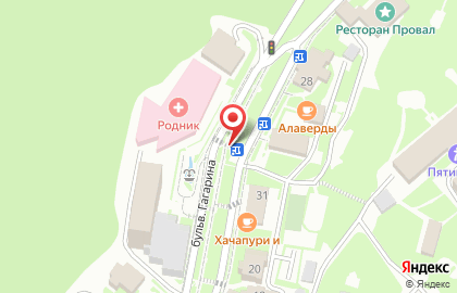 Кофейный домик на бульваре Гагарина на карте