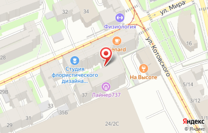 Студия флористического дизайна Екатерины Ниловой в Санкт-Петербурге на карте