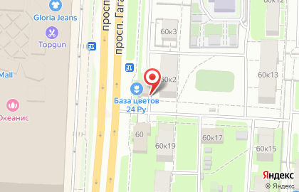 Цветочный магазин База Цветов 24 на проспекте Гагарина на карте