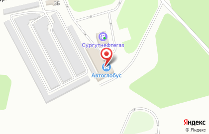 Бесконтактная автомойка Star-M на карте
