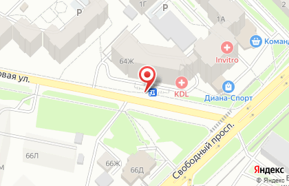 Международная школа шахмат гроссмейстера П. Кирякова на Свободном проспекте на карте
