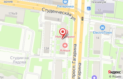 Салон швейных машин и фурнитуры Белошвейка на проспекте Гагарина на карте