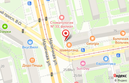 Зоомагазин Филя в Василеостровском районе на карте