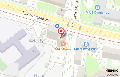 Гастробар Brew Kitchen на карте