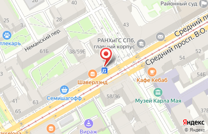 Магазин бытовой химии и косметики Улыбка радуги на Василеостровской на карте