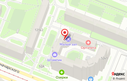 Дуэт на проспекте Луначарского на карте