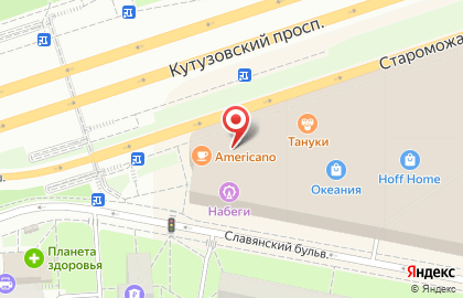 Ресторан Vasilchuki Chaihona №1 на Кутузовском проспекте на карте