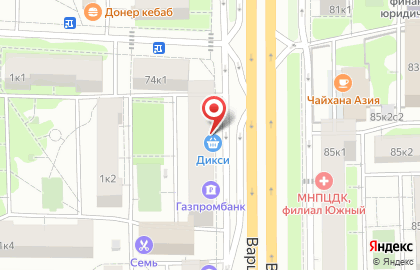 Ветеринарная аптека Дикси на метро Варшавская на карте