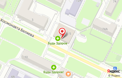 Магазин цветов Полисад на улице Космонавта Беляева на карте