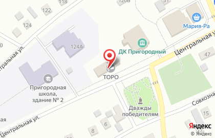 Аптечный пункт Клевер на Центральной улице на карте