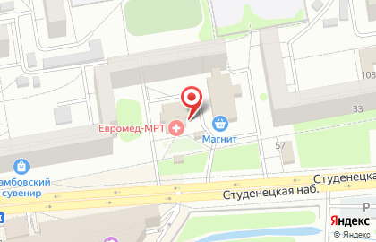 Магазин газового оборудования и посуды Газовик в Тамбове на карте