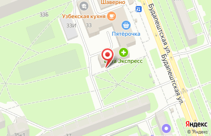 СДЮСШОР №1, Фрунзенский район на Будапештской улице на карте