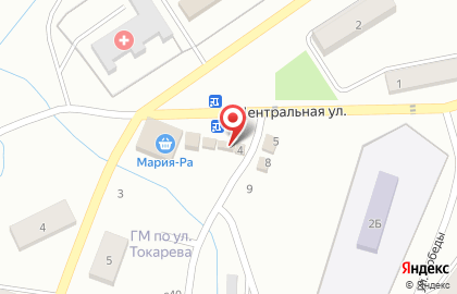 Магазин фруктов на Центральной улице на карте