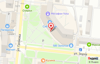 Магазин ювелирных изделий Золотой ларец в Кировском районе на карте