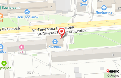 Сервис по доставке мебели и товаров из IKEA на улице Генерала Лизюкова на карте