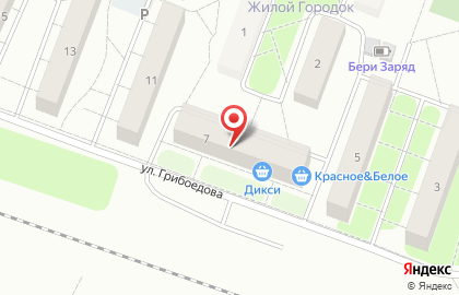 Приемный пункт химчистки Пингвин на улице Грибоедова, 7 в Стрельне на карте