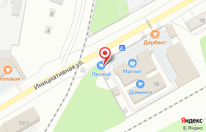 Лесной торговый дом на Инициативной улице на карте