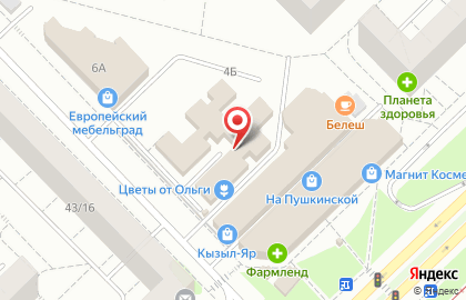 Автошкола Престиж на улице Пушкина на карте