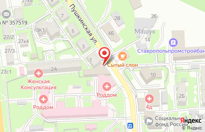 Магазин одной цены Fix Price на Пушкинской улице на карте