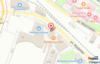 Служба заказа товаров аптечного ассортимента Аптека.ру на улице Фадеева на карте