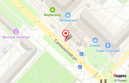 Быстроденьги на Салмышской улице на карте