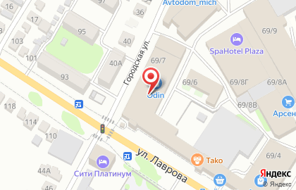 KIA Мичуринск на карте